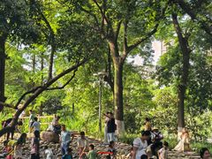 -成都市活水公园