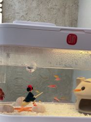 -水沐莲清瑜伽·普拉提