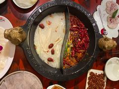 澳洲胶原肥牛-袁老四重庆老火锅(桐梓坡店)