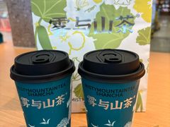 -雾与山茶(大禹城店)