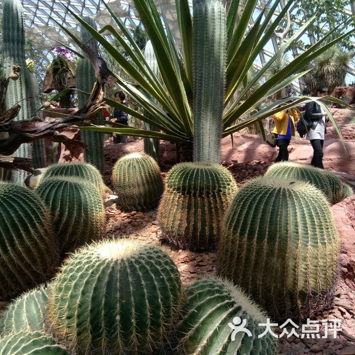 上海辰山植物园图片-北京植物园-大众点评网