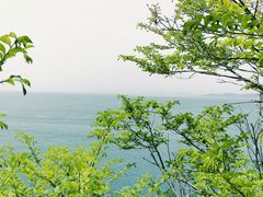 -大连金石滩滨海国家地质公园