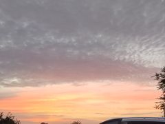-沈阳鸟岛