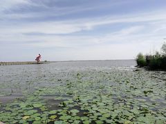 -哈素海