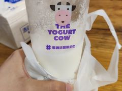 -一只酸奶牛(奎星楼店)