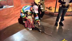 -Zoolung Zoolung动物主题公园(海信广场店)