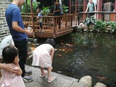 -鹅城