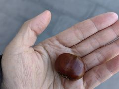 -秋栗香(地安门店)