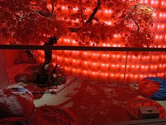 -东吴水韵(吴中店)