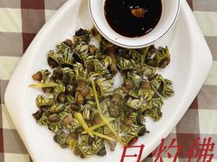 -梅子大排档