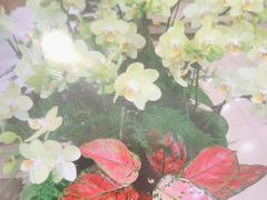 -顺峰(农展馆店)