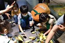 -酷嗒动物文化乐园(cutezoo西溪乐天城店)