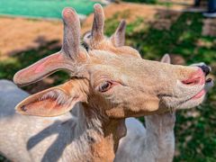 -野鸭湖国家湿地公园