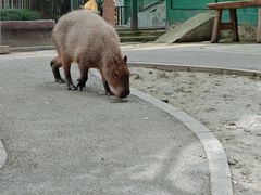 -成都欢乐谷
