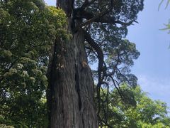 -青岛崂山太清宫