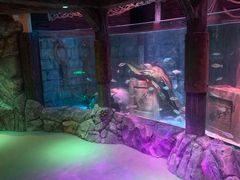 -沈阳海洋探索中心