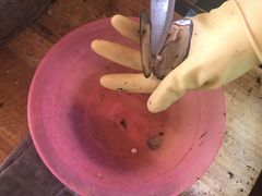 -北海金海湾红树林生态旅游区