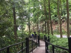 -广州市帽峰山景区