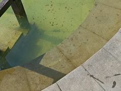 -三江森林温泉度假区