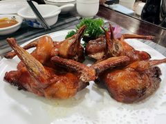 -鸽鸟轩(石岐店)