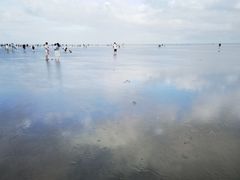 -南汇嘴观海公园