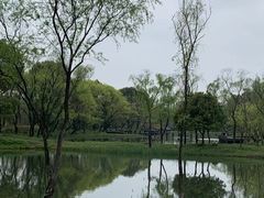 -西溪国家湿地公园