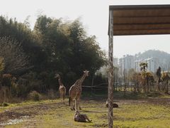 -宁波野生动物园