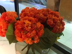 -鼎盛蜀坊·重庆江湖菜(市桥地铁站店)