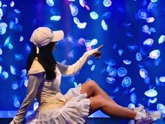 -海合安成都极地海洋公园