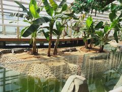 -石家庄市动物园