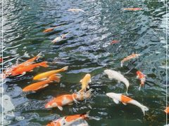 -春满园·早茶·粤菜·宴会(前海店)