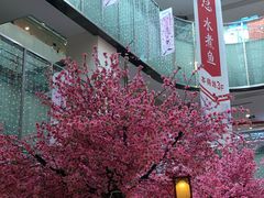 -鹏欣水游城