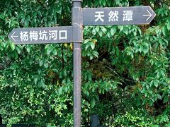 -杨梅坑