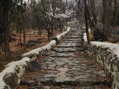 -阳台山自然风景区