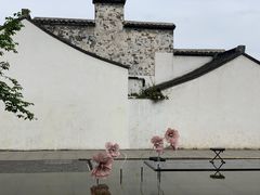 -青果巷历史文化街区