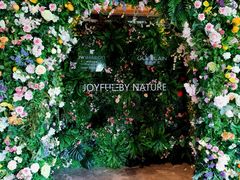 门面-JW酒廊 JW Lounge(上海鲁能JW万豪侯爵酒店)