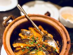 -甄御•海鲜新青岛菜(麦岛店)