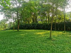 -火炉山森林公园