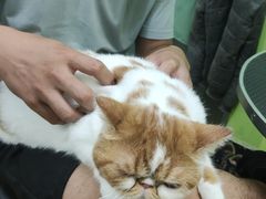 -沐沐家宠物(成寿寺店)