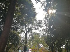 -史努比缤纷世界