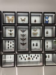 -酷嗒动物文化乐园(cutezoo西溪乐天城店)