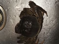 -喜洋洋蟹庄(阳澄湖店)