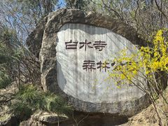 -白水寺森林公园