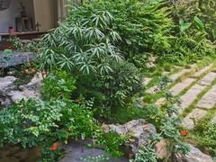 -绣园·茶食宴(湘绣博物馆店)