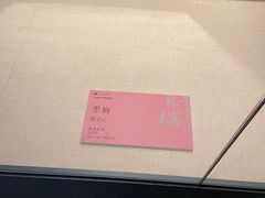 -四川美术馆