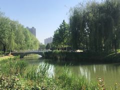 -河北省园博园