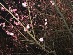 -煲得鲜·桐乡煲·小龙虾(万达店)