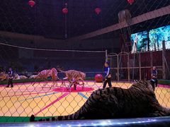 -西安秦岭野生动物园