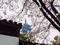 -常熟方塔园