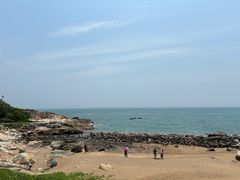 -广东惠东海龟国家级自然保护区